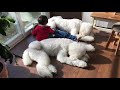 ねぇねぇ起きて~