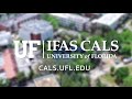 Ufifas cals  world of possibilities