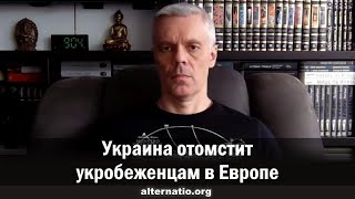 Андрей Ваджра. Украина отомстит укробеженцам в Европе