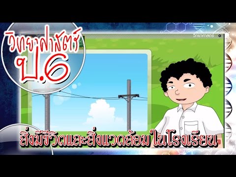 สิ่งมีชีวิตและสิ่งแวดล้อมในโรงเรียน - วิทยาศาสตร์ ป.6