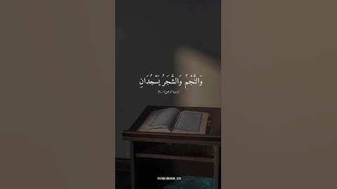 تلاوة تشرح الصدر وتريح الفؤاد | من سورة الرحمن بصوت القارئ :جابر القيطان