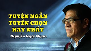 Truyện Truyện Hay Nhất Nguyễn Ngọc Ngạn & Hồng Đào | Truyện Audio - Truyện đêm khuya - Truyện ma