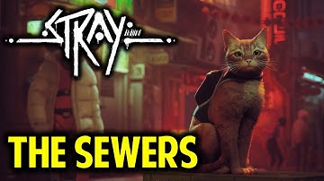 Chapter 8 The Sewers: Gameplay Walkthrough | STRAY