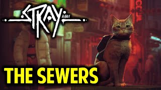 Chapter 8 The Sewers: Gameplay Walkthrough | STRAY