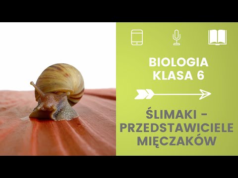 Biologia klasa 6. Ślimaki - przedstawiciele mięczaków. Uczymy się razem