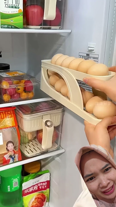TEMPAT UNTUK MENYIMPAN TELUR GAIS ⁉️#videoviral