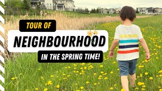 Last Season Tour: REGINA NEIGHBOURHOOD TOUR  Spring Time And The Reason Why We Are Moving Out Here