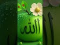 Allah Sexy Video Jisne Mujhe Toda Hai 