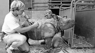 Saving Rhinos From Extinction