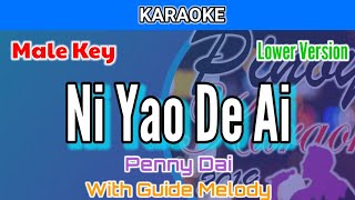 Ni Yao De Ai by Penny Dai (Karaoke : Male Key : Lower Version : With Guide Melody)