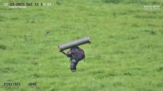 Celebrity Hidden Invasion： Inside Rwanda's Covert War in Eastern Congo1 Net Worth