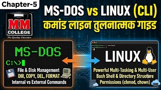 📚 Chapter 5 – MS-DOS & Linux Operating System