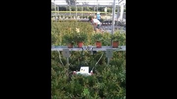 Javo Conveyor system | Transport systeem