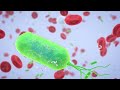 AST (aspartate aminotransferase) Blood Test 3D Medical Animation