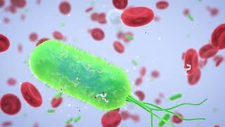 AST (aspartate aminotransferase) Blood Test 3D Medical Animation