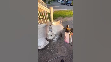 5 Strange Things to Wash With Foam Cannon #Shorts