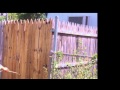 Clean your Lubbock Fence Today ! ( 806 ) 589-3111 Clean your Lubbock Fence Today ! ( 806 ) 589-3111