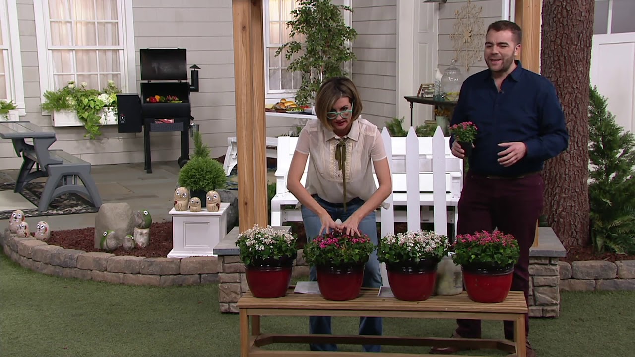 Cottage Farms 4-Piece Peppermint Pop Periwinkle Set on QVC