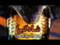 شاه کبرا بزرگترین مار سمی جهان فیلم مستند کوتاه King Cobra The World S Largest Venomous Snake 