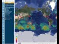 Vessel tracking  bigoceandata  weather forecast history and hurricane tracking