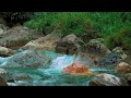 River Gentle Stream Sounds in forest 24/7. River Sounds, Flowing Water, White Noise for Sleep
