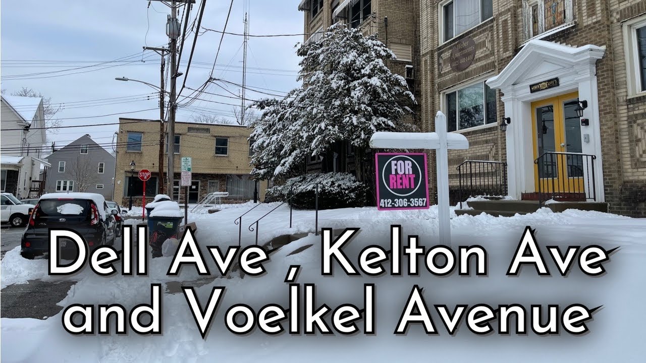 Snow in Dormont Voelkel Ave / Walking and Explore in Dell Ave and