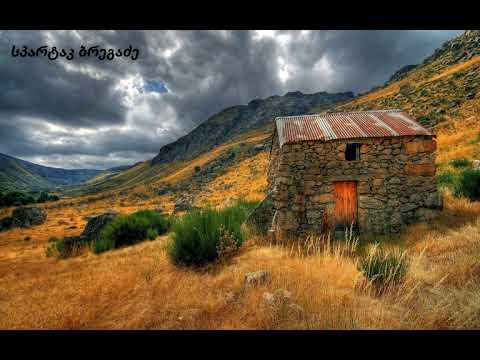 სპარტაკ ბრეგაძე - საქართველო