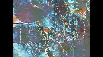 tondiue – Lilypad Part 4