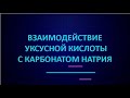 Взаимодействие уксусной кислоты с карбонатом натрия | ЕГЭ по химии