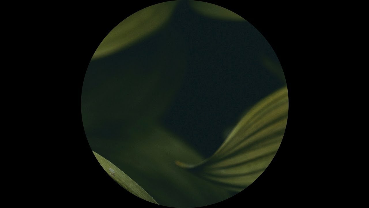 Den Haas - Birth (Fyrone Remix)