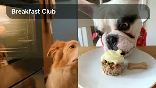 Top Food Inspired Pet Names 2025 🍕 #PetNames