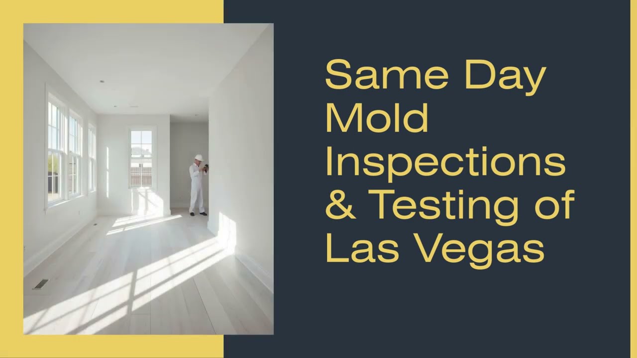 Same Day Mold Inspection & Testing of Las Vegas