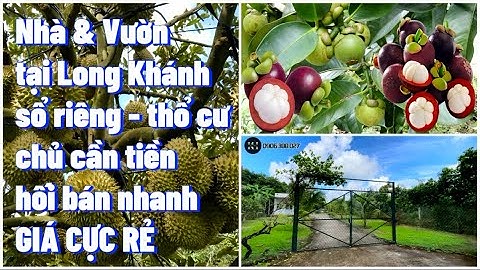 (ĐÃ BÁN) Vườn Trái Cây Cực Đẹp CÓ NHÀ CÓ THỔ CƯ Ngay TP Long Khánh Giá Chỉ Hơn 1 TỶ