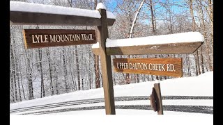 Stay at Wildflower Cabin Rentals in Franklin, North Carolina