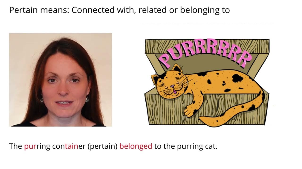 Remember Meaning Of Pertain Using Pictures And Mnemonics YouTube remember-meaning-of-pertain-using-pictures-and-mnemonics-youtube