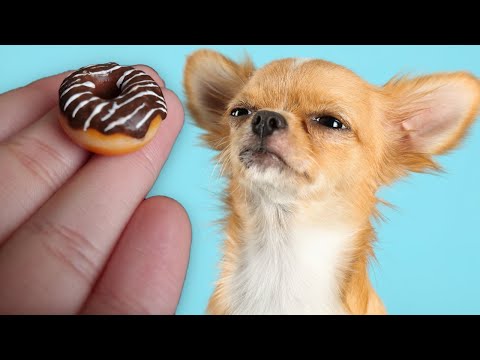 Video: 18 Things Only Senior Pup Vecāki saprot