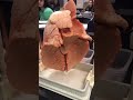 Health Vs smoker Lungs tiktok