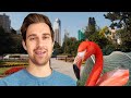I Found a Hidden Park in Hong Kong Full of Monkeys & Flamingos