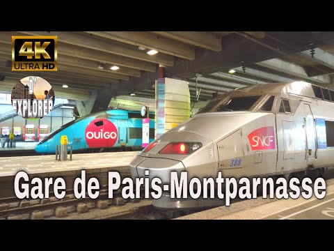 【4K】??Gare de Paris-Montparnasse,3rd Wave Lockdown in PARIS》SNCF,RER and Metro Station 2021