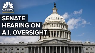 Senate Judiciary Committee holds hearing on AI oversight and regulation — 07/25/23