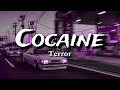 Terror Cocaine Reverb Da Vinci Slowed Remix 