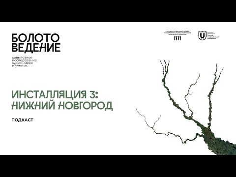 Болотоведение. Инсталляция 3: Нижний Новгород