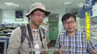 MIT 台灣誌 #750 我不笨，我是豬 在大學養豬的人