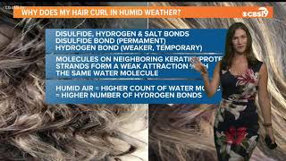 Why its hard to beat the frizz on humid days: a brief explainer