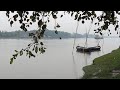 cinematic video #lifeisbutadream #flowers 