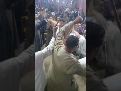 فرحة الفخراني العريس صالح عبد الرحيم الفخراني واحلي انبساط ورقص صعيدي