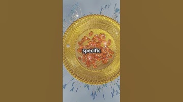 Nanoparticles #physicsfacts #facts #physicist##youtubeshorts#science