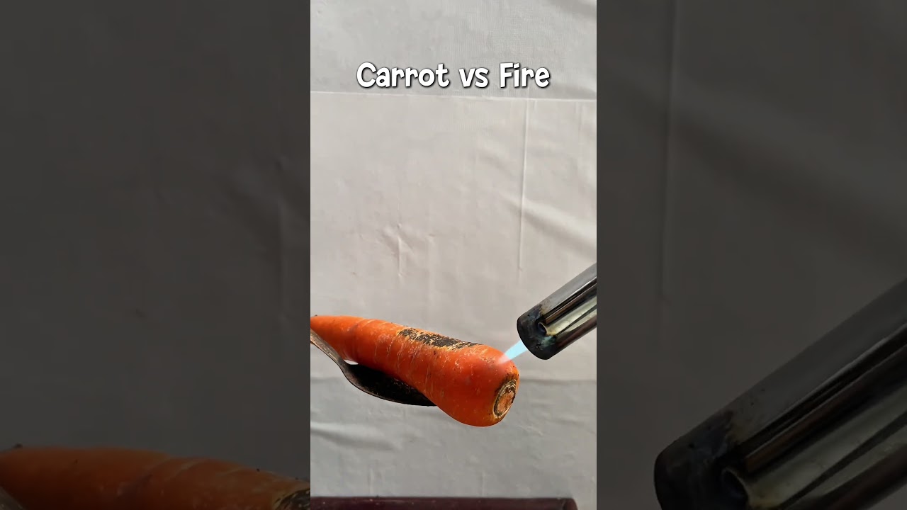 Carrot vs Fire 