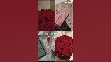 تلاوه خاشعه/ القرآن الكريم #اكتب شيء تؤجر عليه  /القارئ اسلام صبحي 🤍•