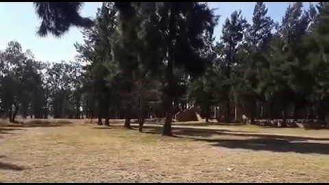 Maytech 2205s and 30A BLHELI_S ESC test Review